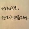 莫氏鸡煲带火整条街有摊贩日入5000